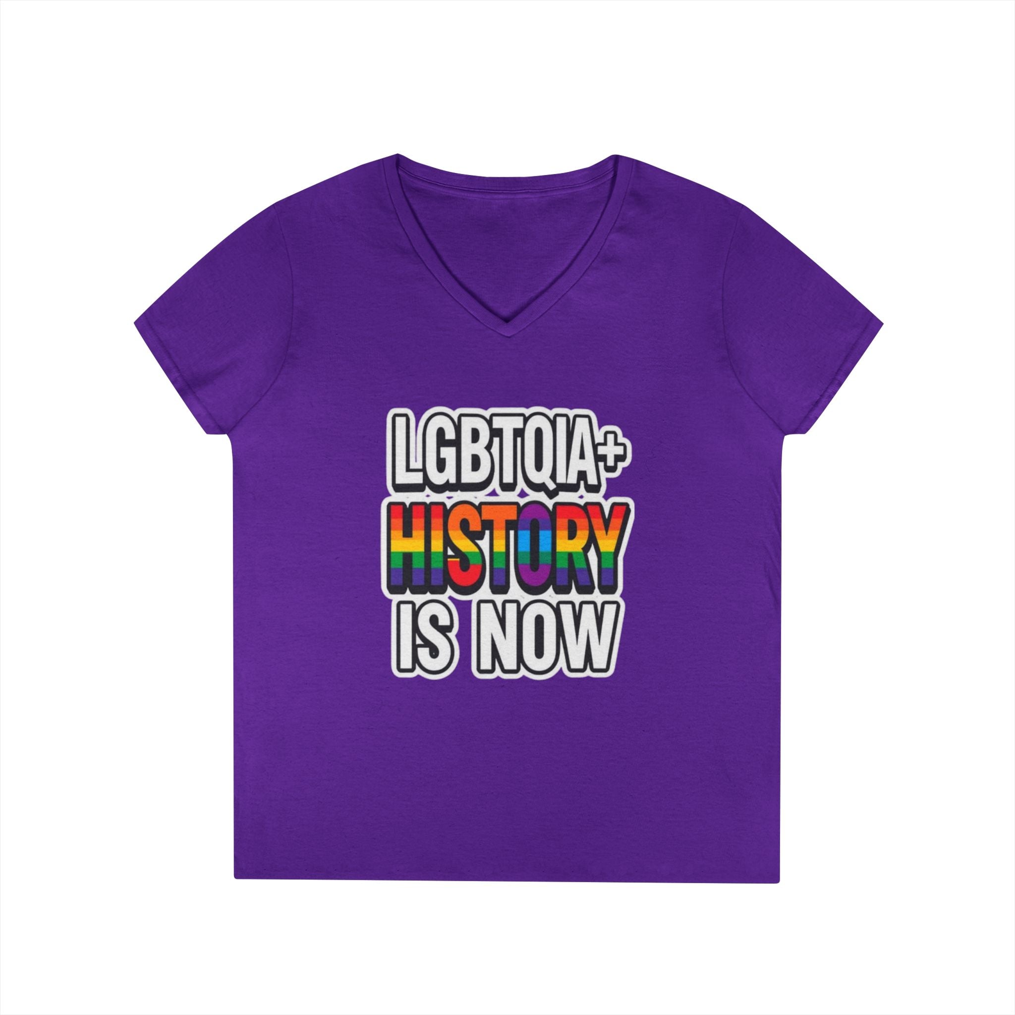 LGBTQIA+ History V-Neck T-Shirt for Pride and Activism
