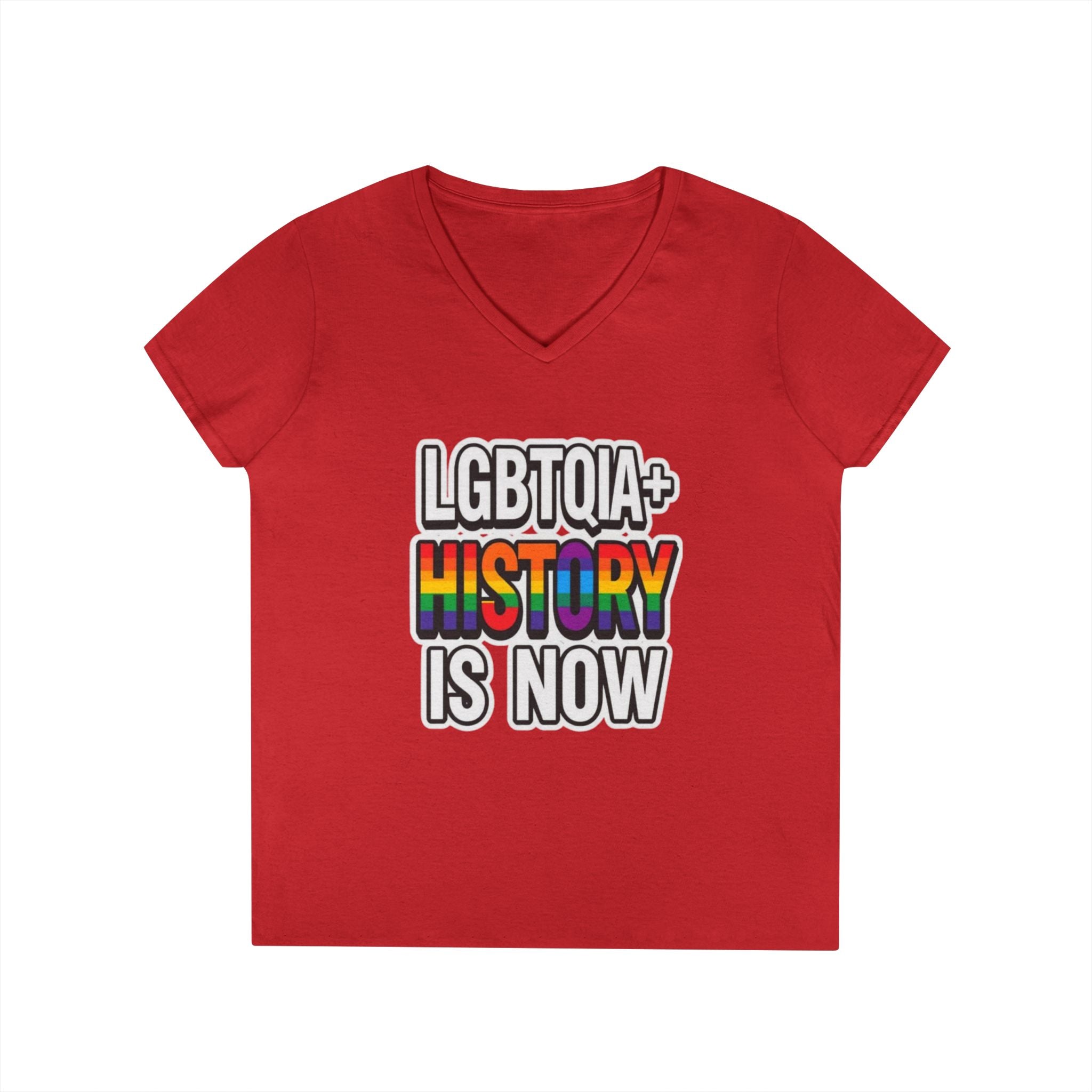 LGBTQIA+ History V-Neck T-Shirt for Pride and Activism