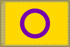 Vibrant Double-Sided Asexual Pride Flag  - Perfect for Celebrations and Home Decor