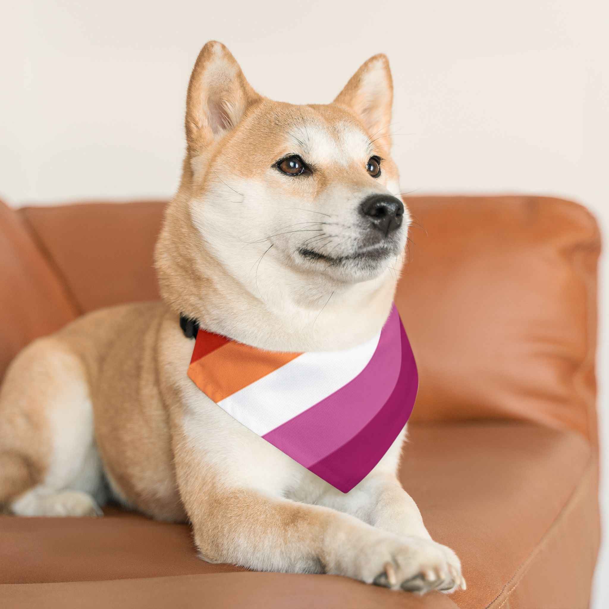 Lesbian Pride Flag Pet Bandana - Strut Your Mut