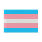 Trans Pride Flag - Vibrant Design for LGBTQ+ Celebrations