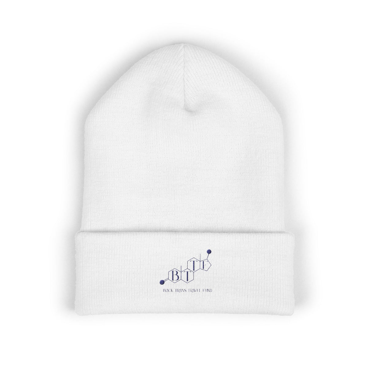 BTTF - Black Trans Travel Fund Embroidered Beanie