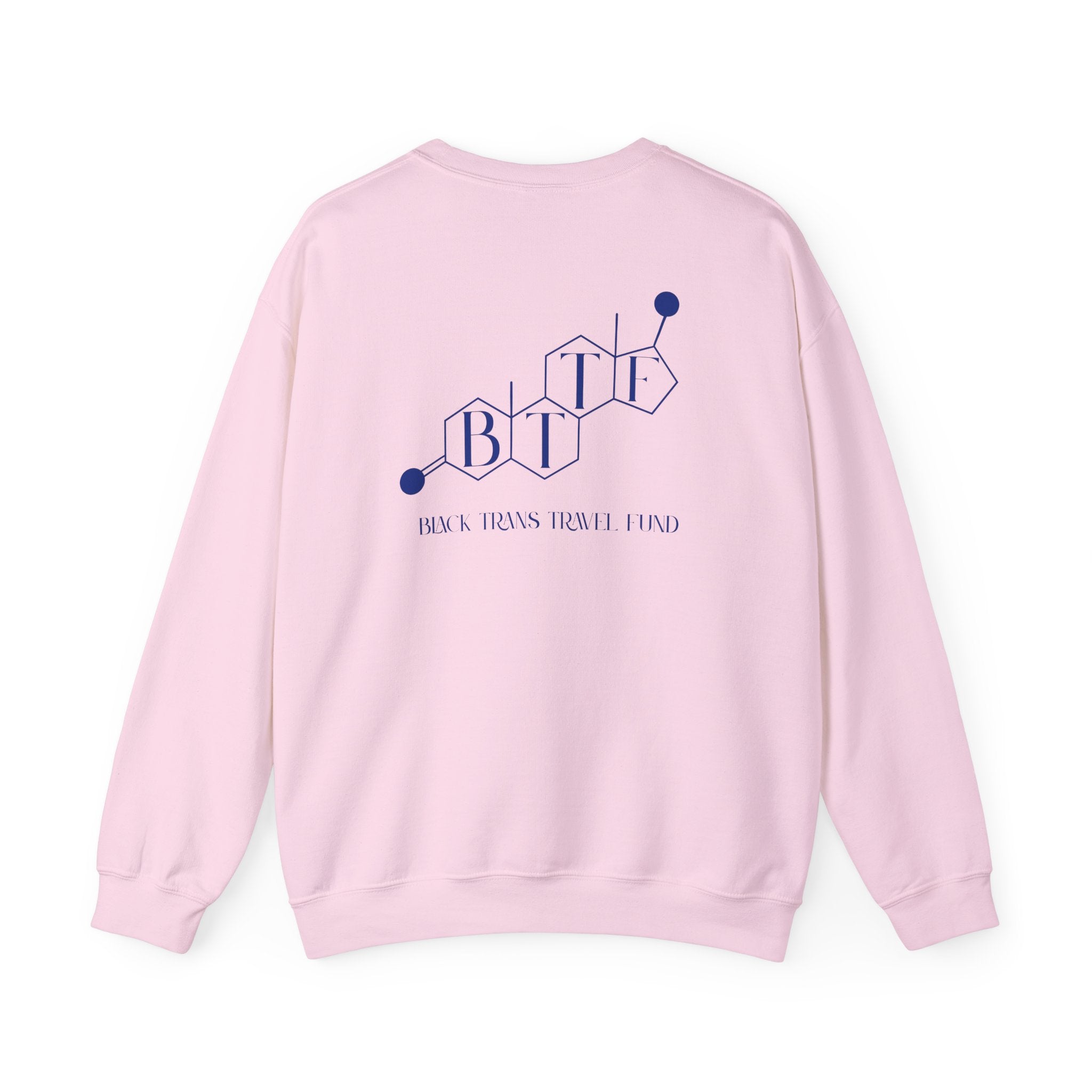 BTTF - Black Trans Travel Fund Unisex Crewneck Sweatshirt