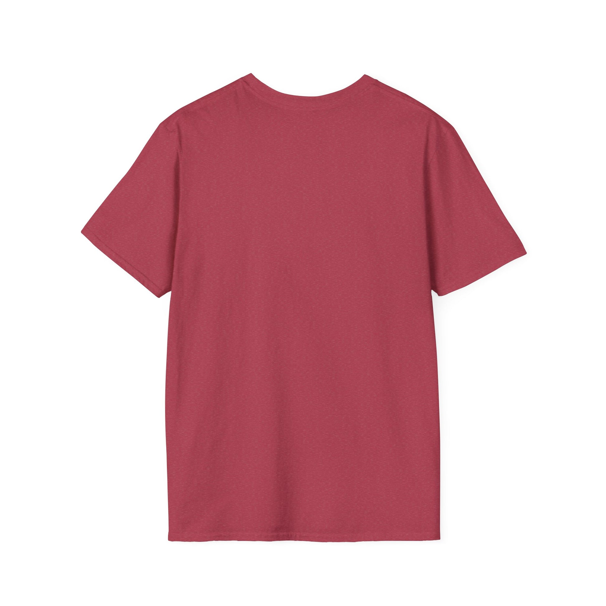 USA Democracy Statement Unisex Softstyle T-Shirt