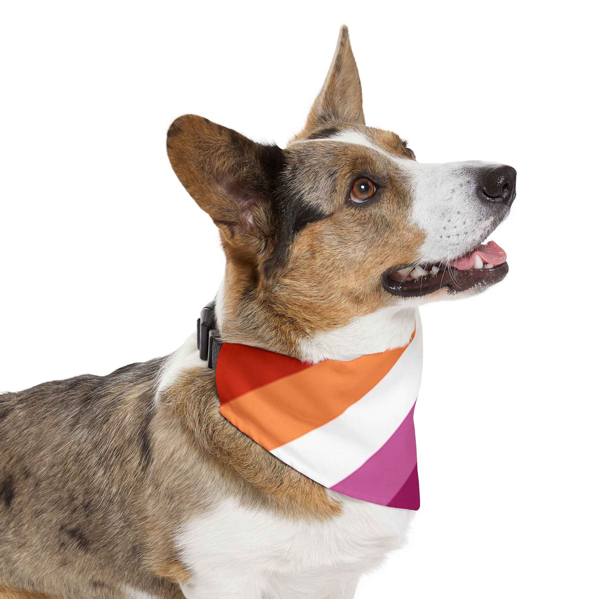 Lesbian Pride Flag Pet Bandana - Strut Your Mut