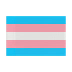 Trans Pride Flag - Vibrant Design for LGBTQ+ Celebrations
