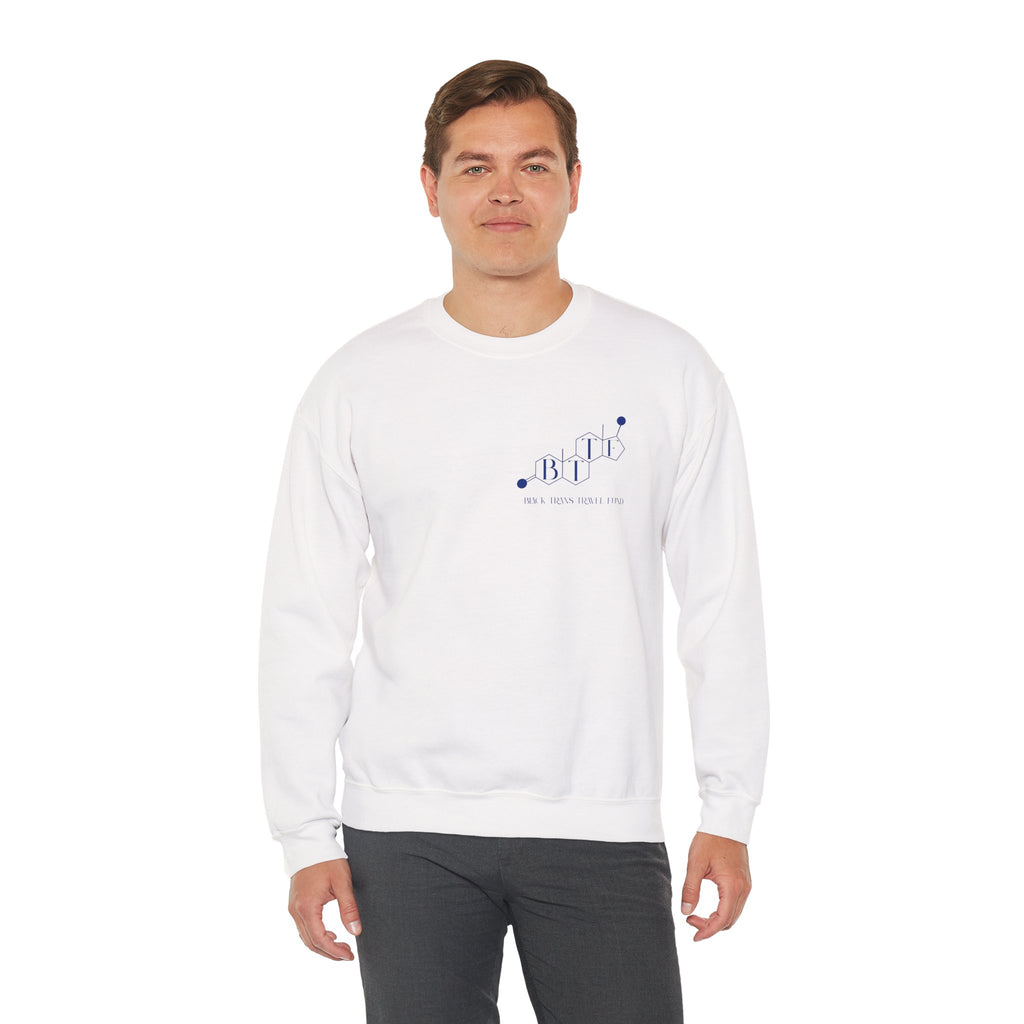 BTTF - Black Trans Travel Fund Unisex Crewneck Sweatshirt