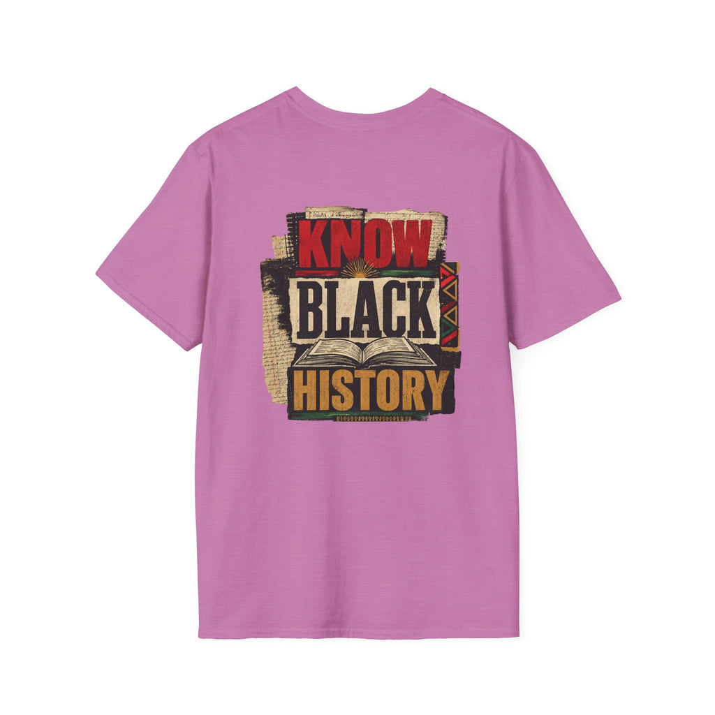Black History Is American History T-Shirt
