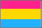 Vibrant Double Sided Pansexual Pride Flag - Perfect for Celebrations & Events