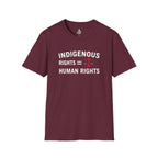 Indigenous Rights = Human Rights T-shirt