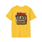 Black History Is American History T-Shirt
