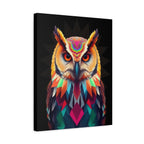 Colorful Owl Canvas Wall Art - 1.25" Stretched Matte