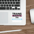 Die-Cut Stickers - TRANS RIGHTS ARE HUMAN RIGHTS