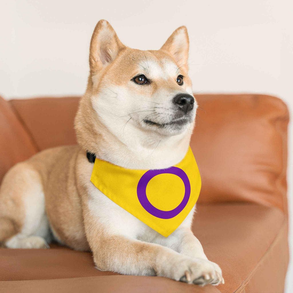Intersex Pride Flag Pet Bandana - Strut Your Mut