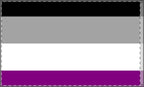 Double Sided Asexual Pride Flag - Inclusive Decor for Celebrations & Events