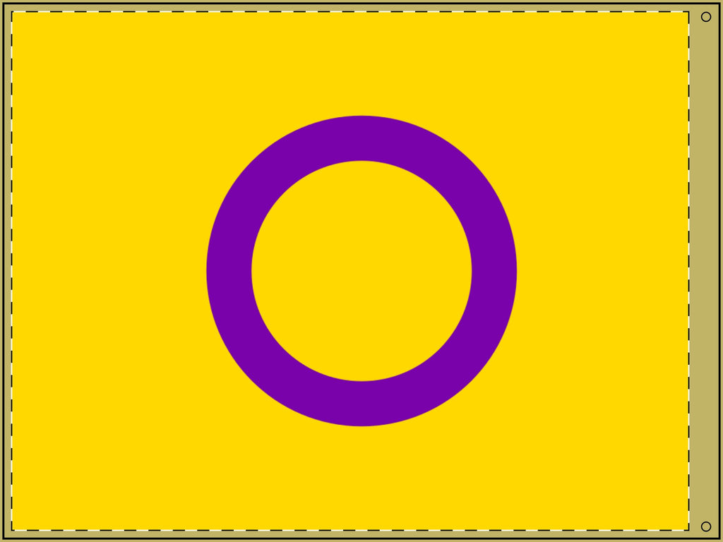 Vibrant Double-Sided Asexual Pride Flag  - Perfect for Celebrations and Home Decor