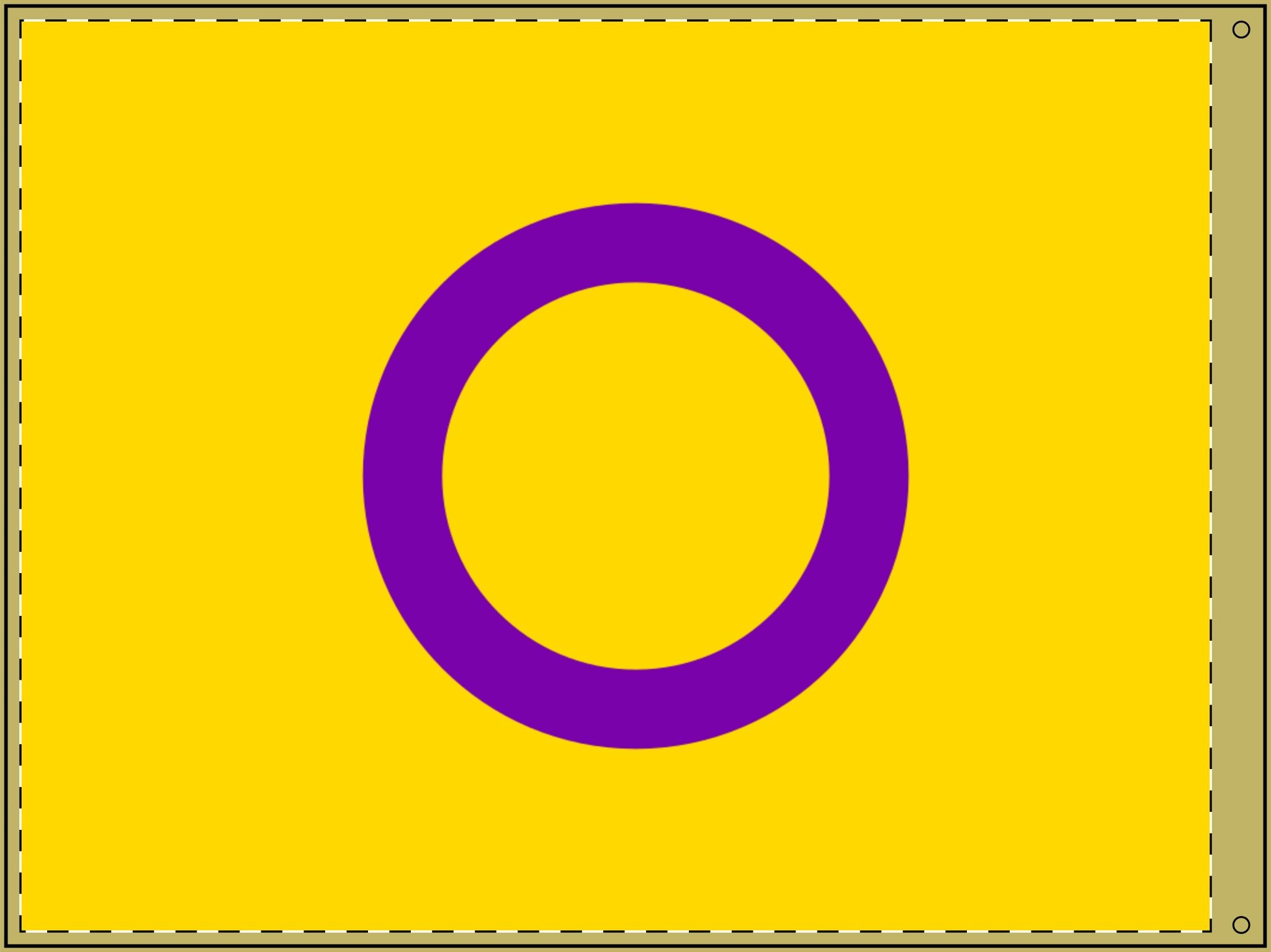 Vibrant Double-Sided Asexual Pride Flag  - Perfect for Celebrations and Home Decor