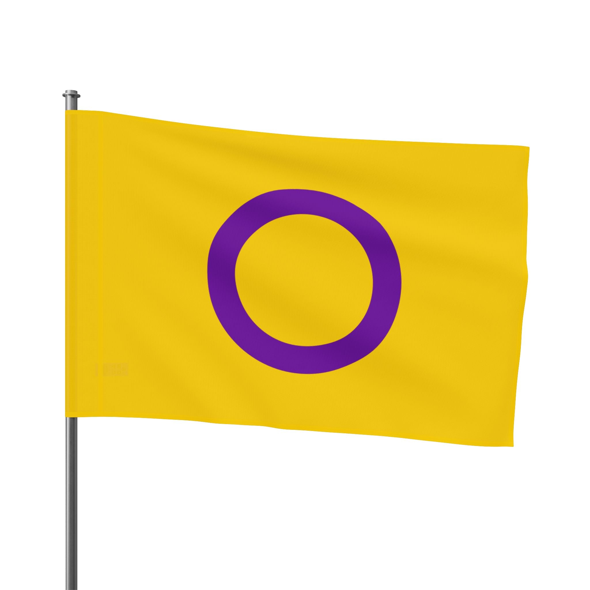 Intersex Pride Flag - Aesthetic LGBTQ+ Banner for Celebration & Home Decor