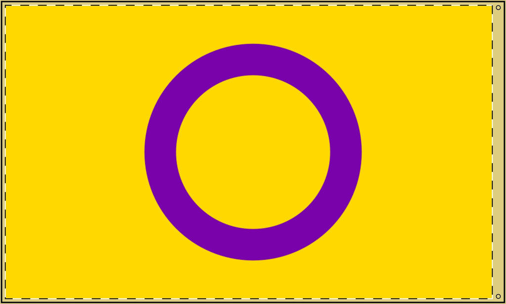 Vibrant Double-Sided Asexual Pride Flag  - Perfect for Celebrations and Home Decor