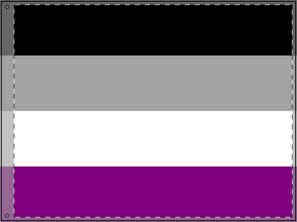 Double Sided Asexual Pride Flag - Inclusive Decor for Celebrations & Events