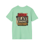 Black History Is American History T-Shirt