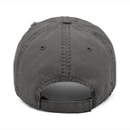 Distressed Dad Hat - Democracy Matters Embroidery
