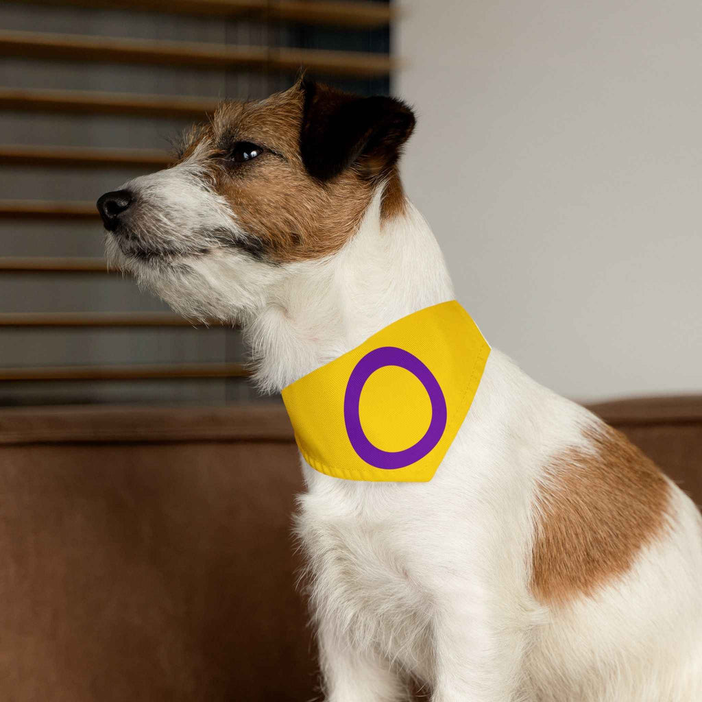 Intersex Pride Flag Pet Bandana - Strut Your Mut