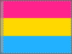 Vibrant Double Sided Pansexual Pride Flag - Perfect for Celebrations & Events