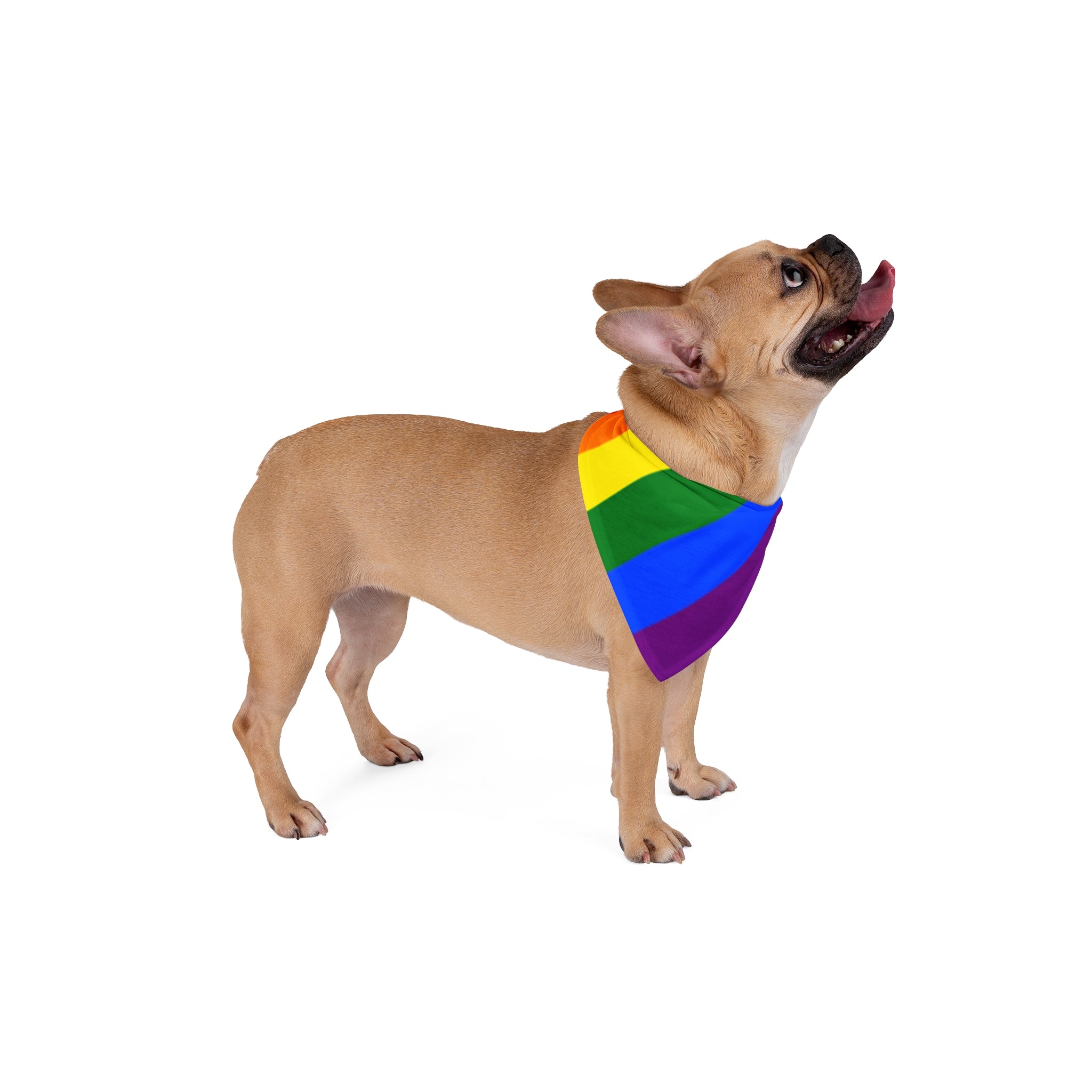 Pride Rainbow Pet Bandana | Colorful Dog Accessory for LGBTQ+ Celebrations