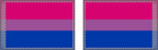 Double Sided Bisexual Pride Flag - Celebrate Inclusivity and Support LGBTQ+ Pride