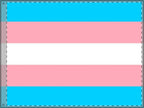 Transgender Pride Double-Sided Flag - Celebrate Inclusivity and Diversity
