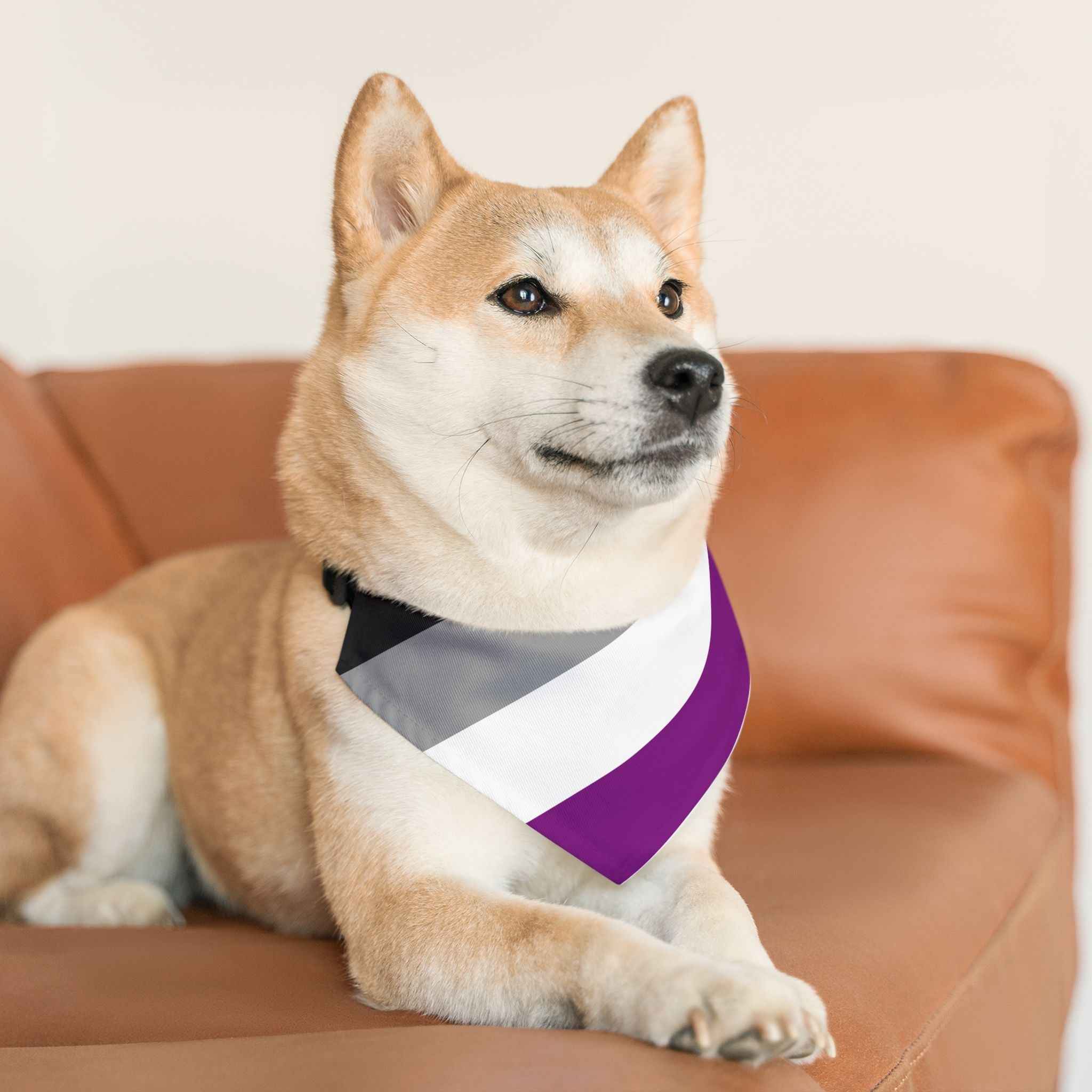 Asexual Pride Flag Pet Bandana - Strut Your Mut