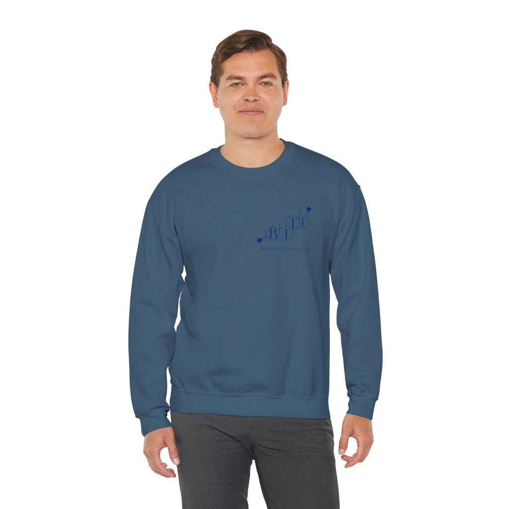 BTTF - Black Trans Travel Fund Unisex Crewneck Sweatshirt
