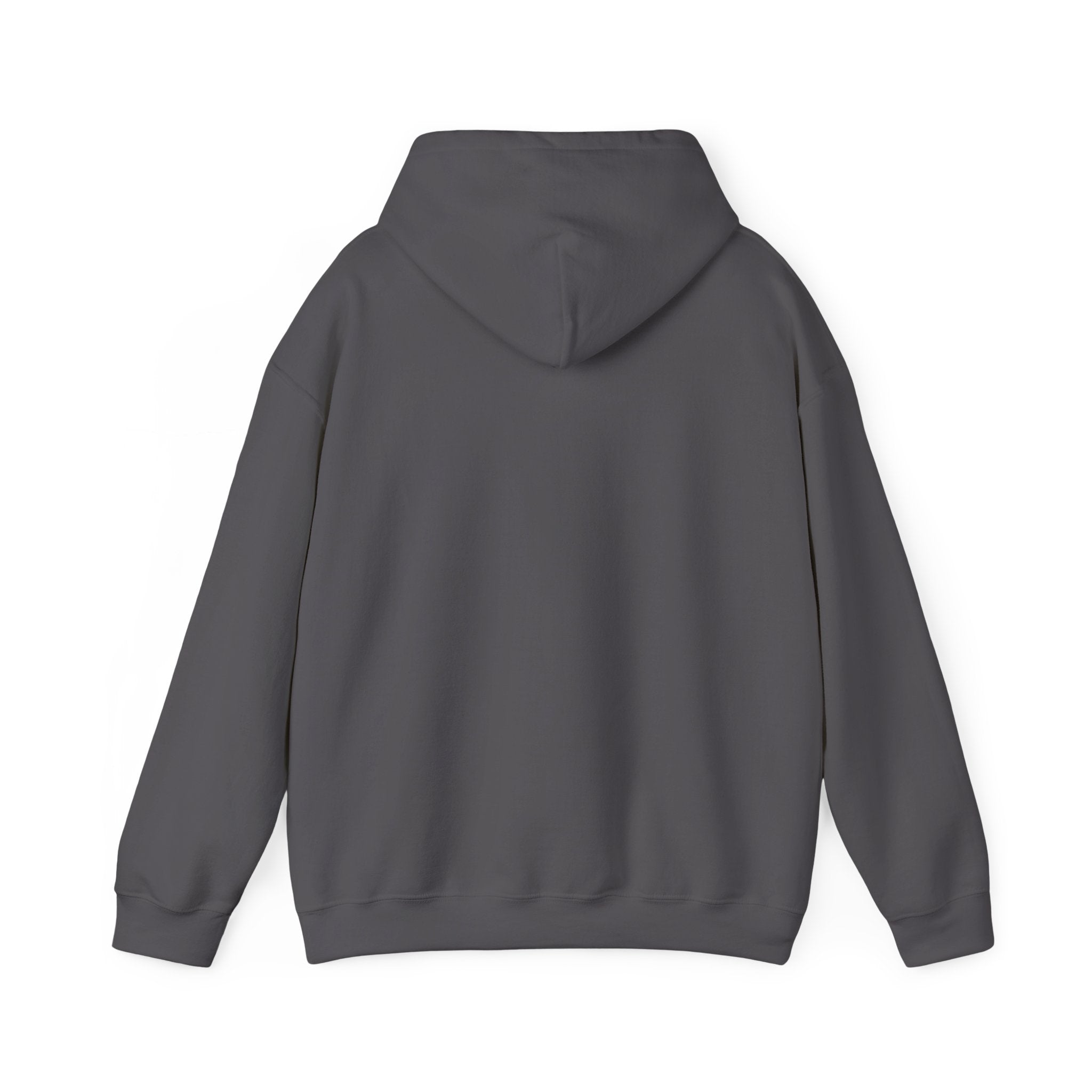 You Matter Hooded Sweatshirt - Unisex Heavy Blend - Colorful & Inspiring