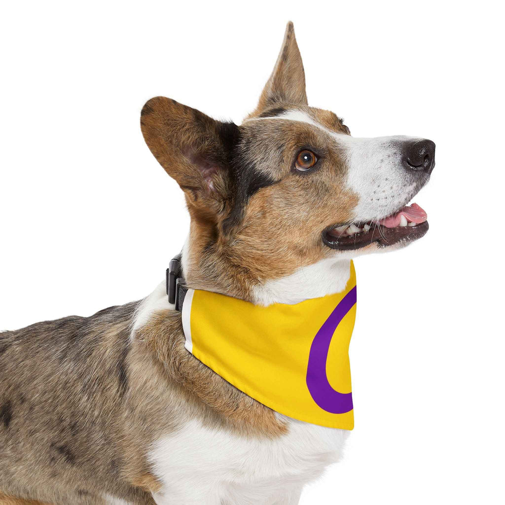 Intersex Pride Flag Pet Bandana - Strut Your Mut