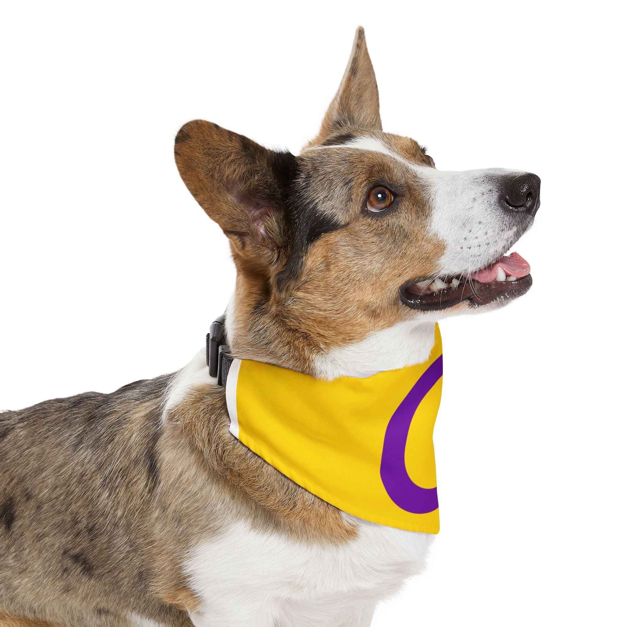 Intersex Pride Flag Pet Bandana - Strut Your Mut