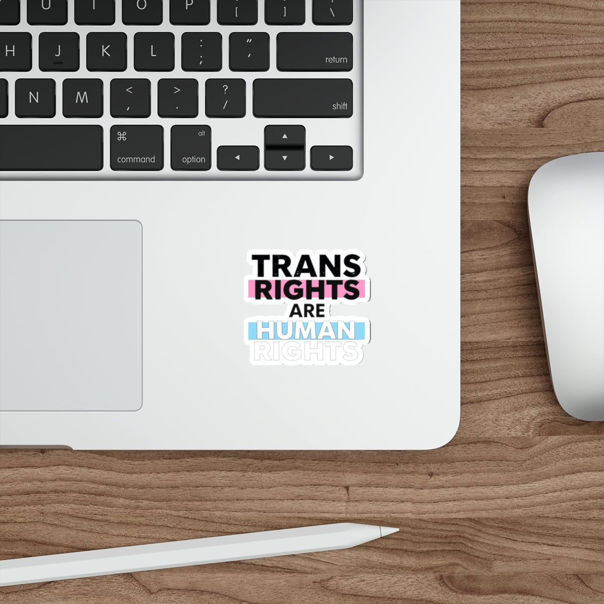 Die-Cut Stickers - TRANS RIGHTS ARE HUMAN RIGHTS