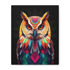 Colorful Owl Canvas Wall Art - 1.25" Stretched Matte