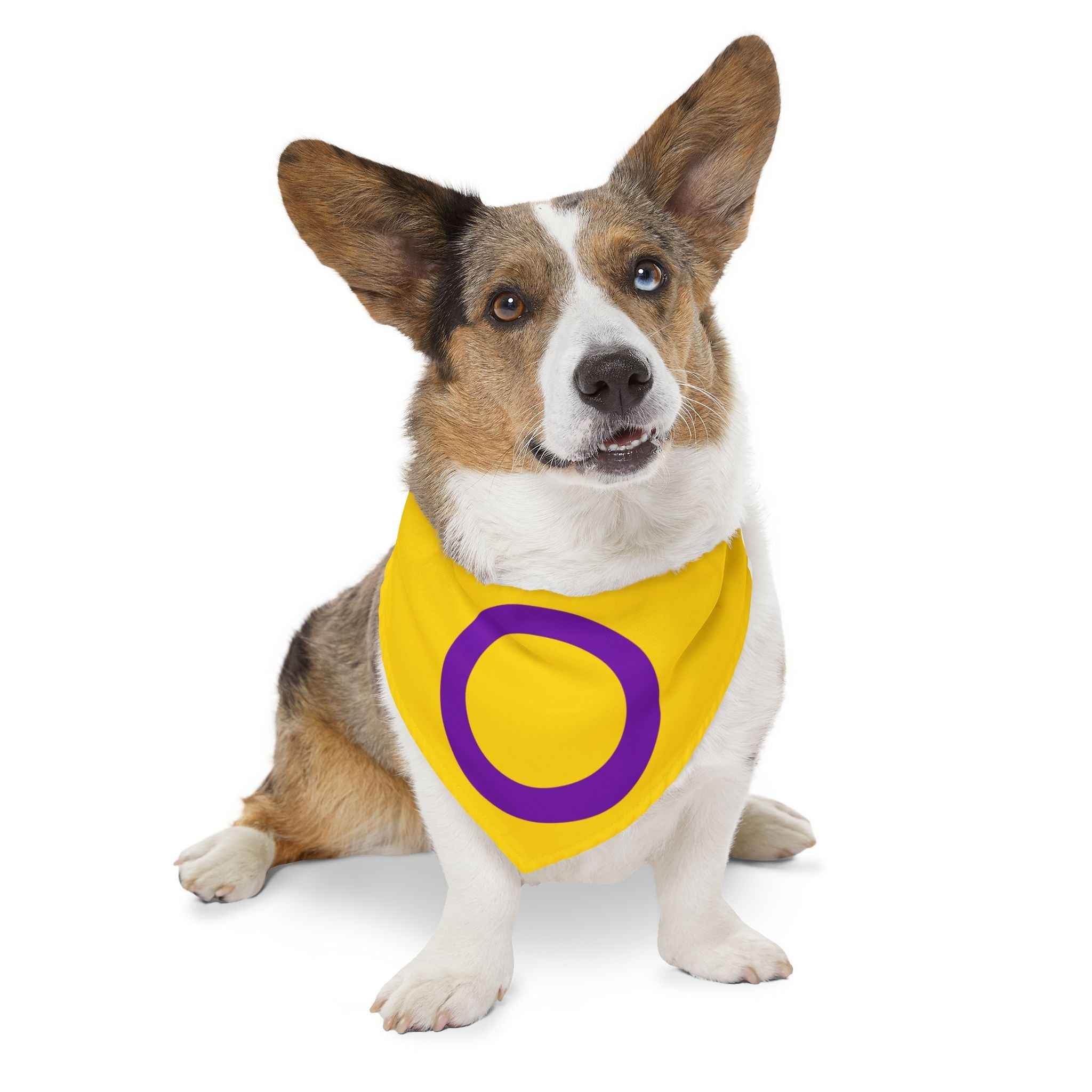 Intersex Pride Flag Pet Bandana - Strut Your Mut