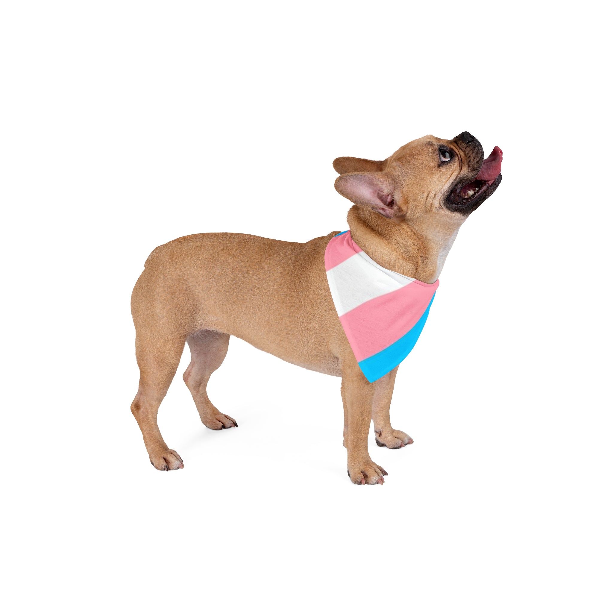 Trans Pride Pet Bandana