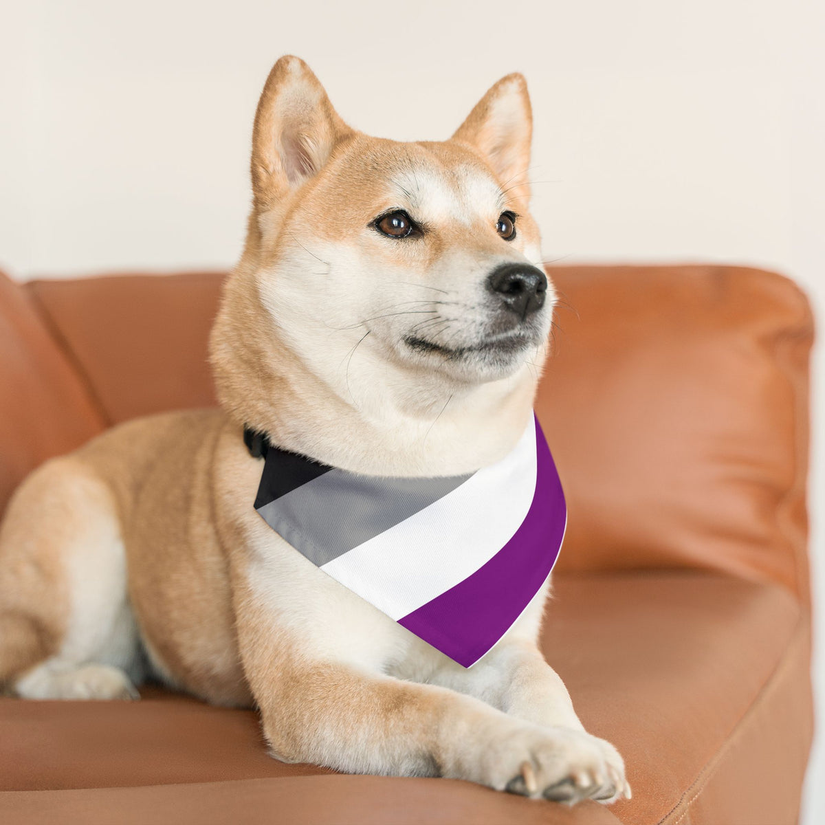 Asexual Pride Flag Pet Bandana - Strut Your Mut
