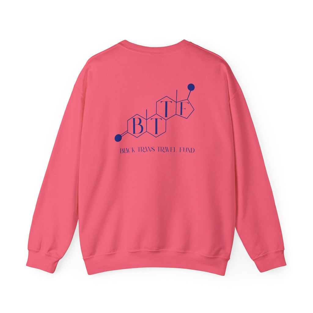 BTTF - Black Trans Travel Fund Unisex Crewneck Sweatshirt