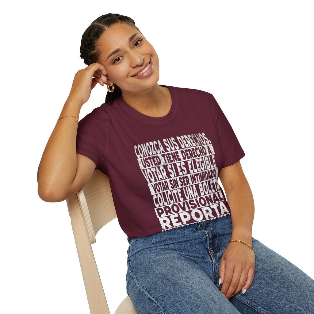 Know Your Voting Rights Spanish T-Shirt