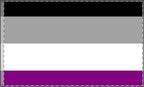 Double Sided Asexual Pride Flag - Inclusive Decor for Celebrations & Events