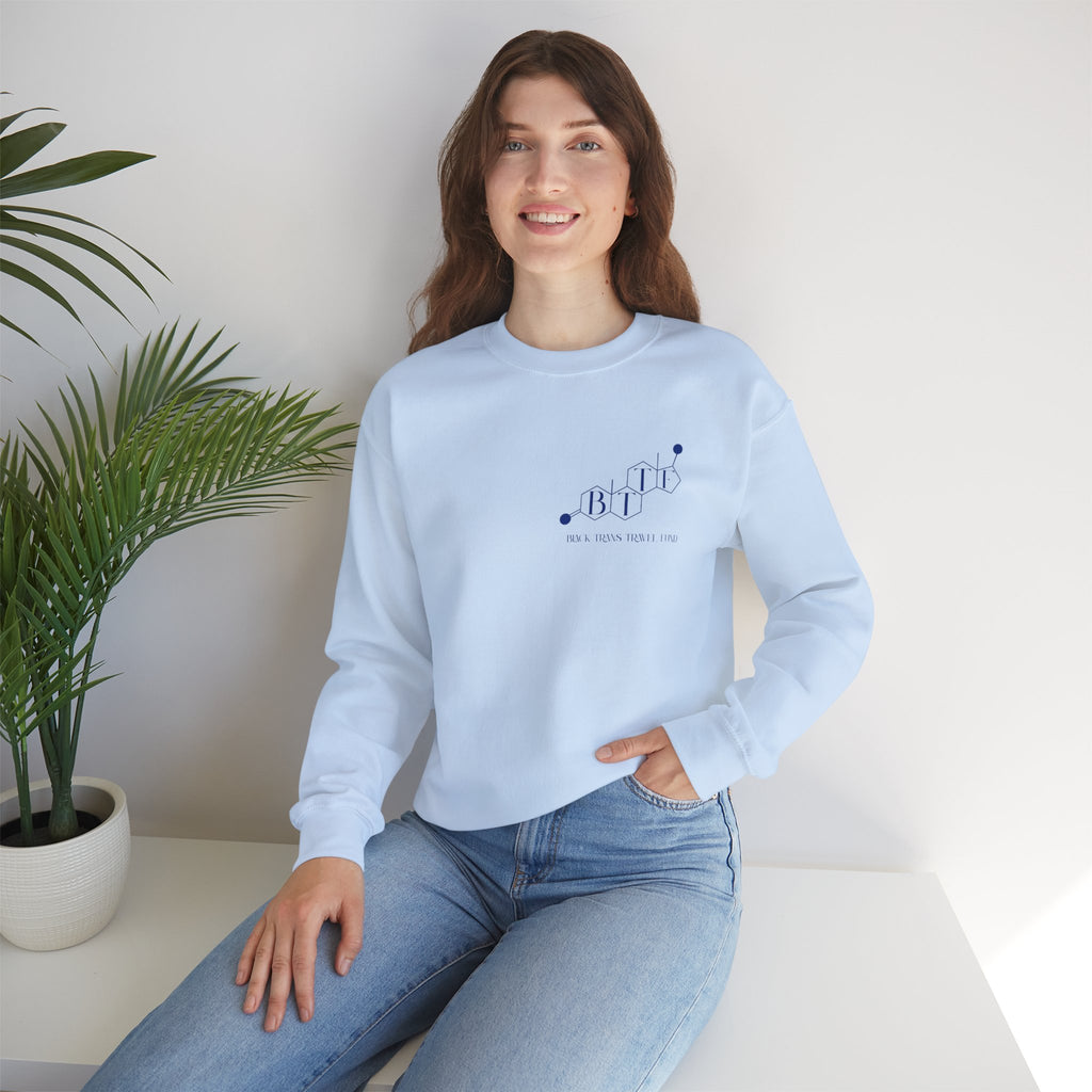 BTTF - Black Trans Travel Fund Unisex Crewneck Sweatshirt