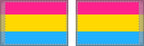 Vibrant Double Sided Pansexual Pride Flag - Perfect for Celebrations & Events