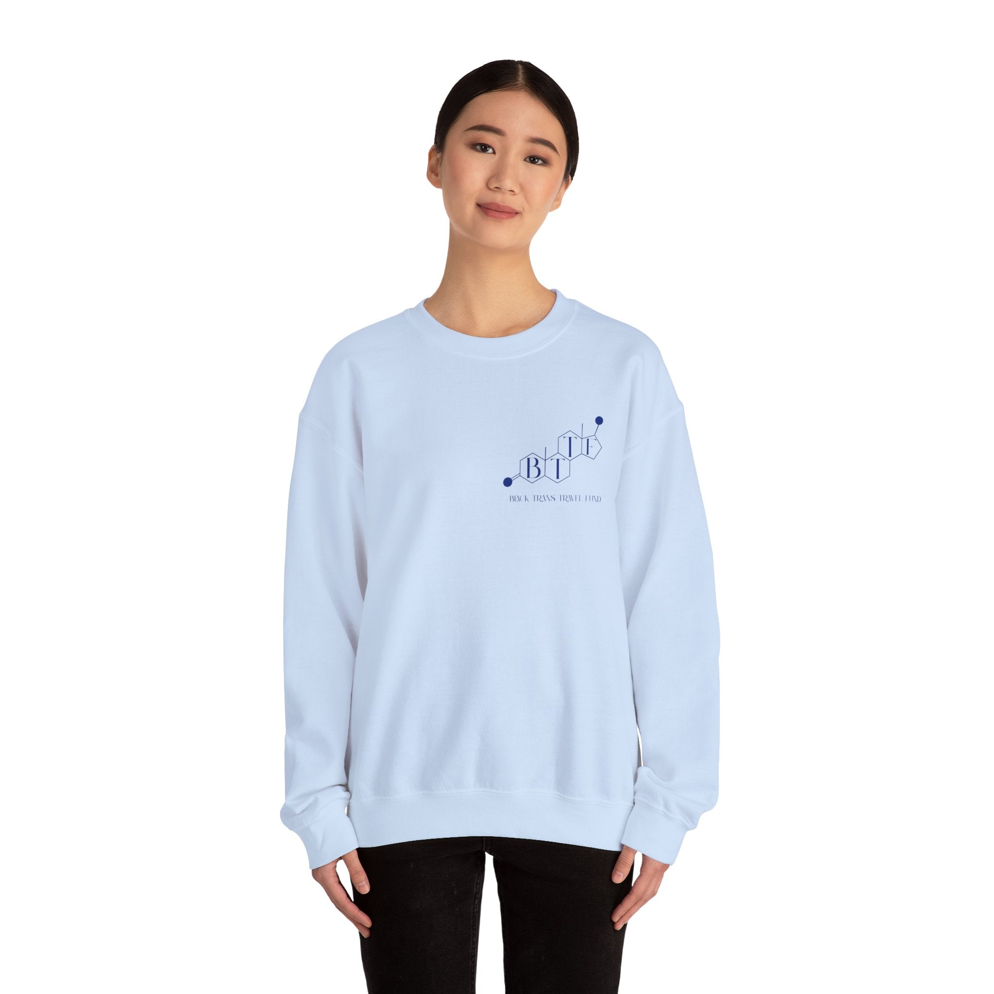 BTTF - Black Trans Travel Fund Unisex Crewneck Sweatshirt