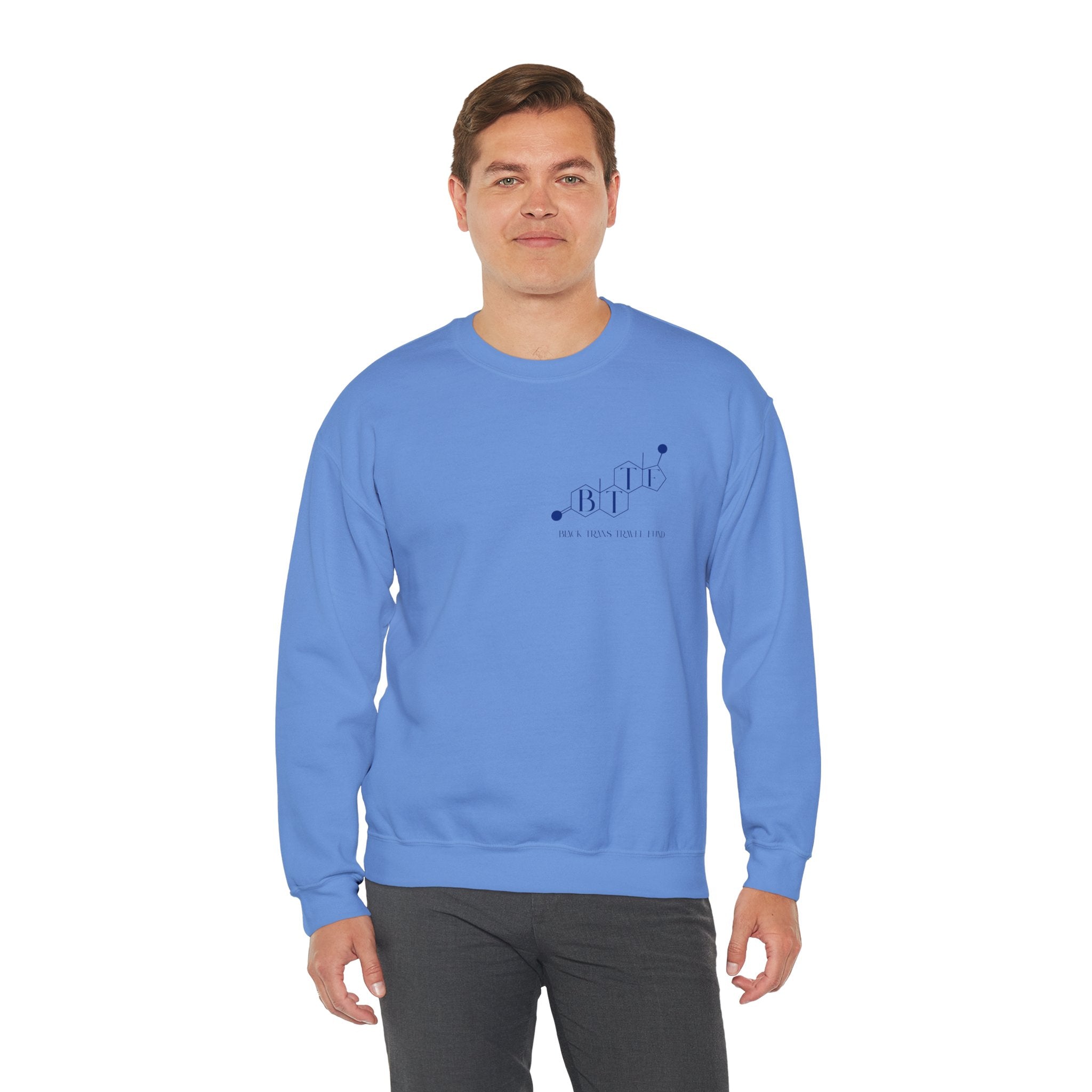 BTTF - Black Trans Travel Fund Unisex Crewneck Sweatshirt