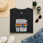 LGBTQIA+ History Is Now T-shirt