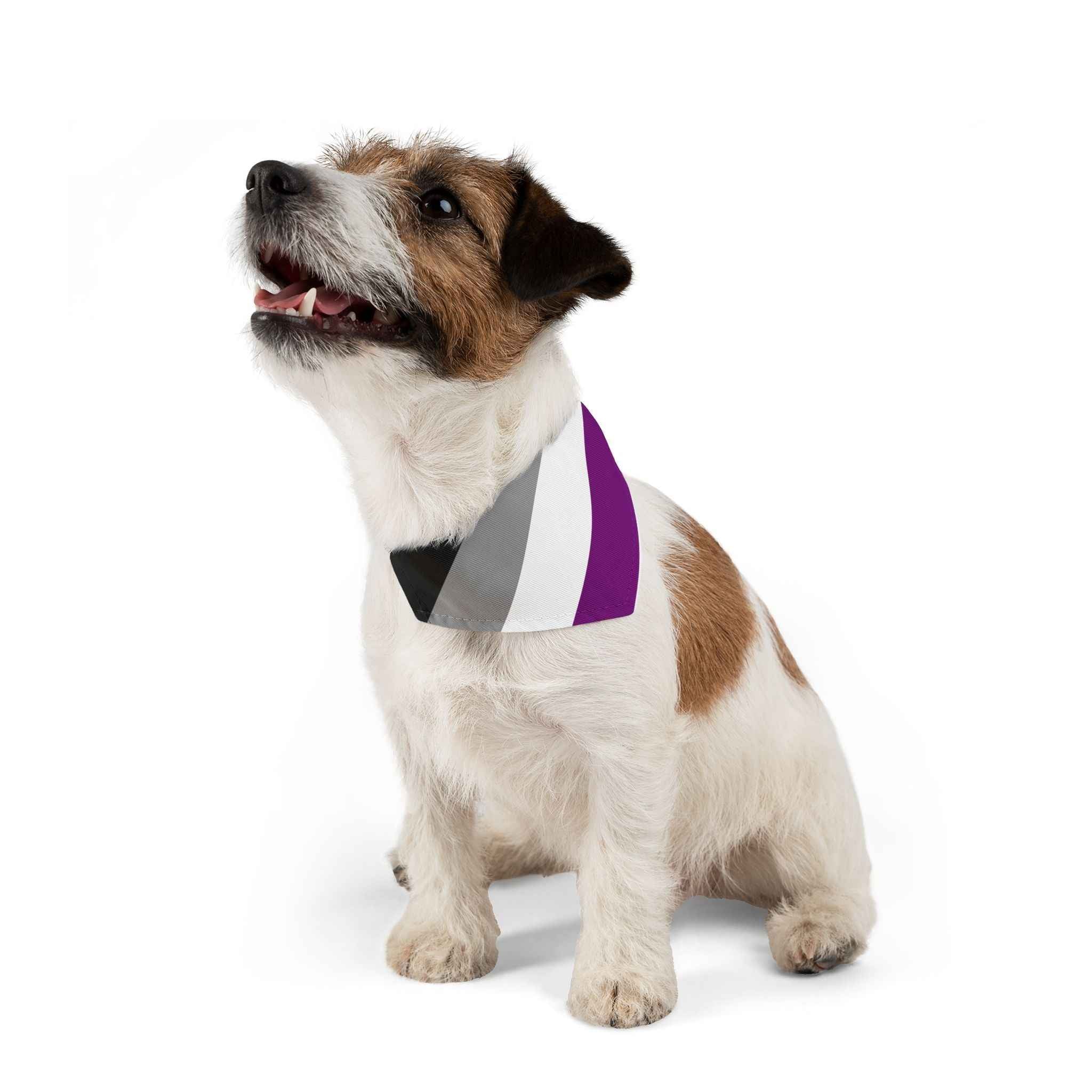 Asexual Pride Flag Pet Bandana - Strut Your Mut